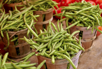 Bushels of Fresh Picked Green Beans