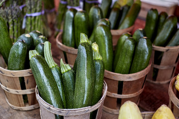 Bushels of Fresh Picked Green Beans