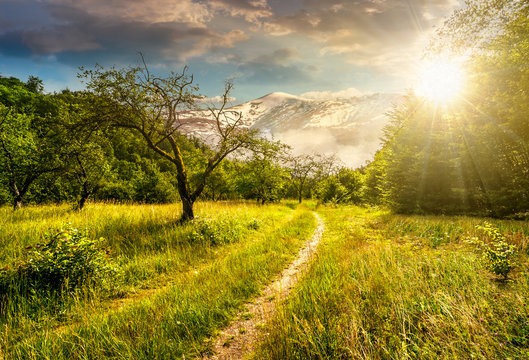 Winter meets summer composite landscape. Curve road through rural valley with trees and green grass going to forest in mountains with snowy peak under cloudy sky in evening light