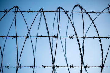 Barbed wire on dark fence.