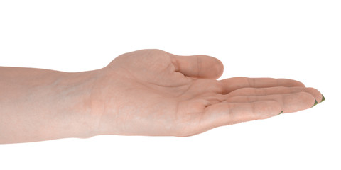 Open hand giving anything, adult female's skin, yellow manicure. Isolated on white background