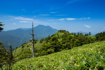 瓶ヶ森（かめがもり）から石鎚山方面を眺める