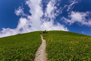 瓶ヶ森（かめがもり）　女山山頂付近