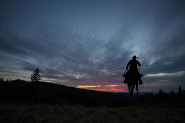 Obraz na płótnie Canvas Cowboy on a horse