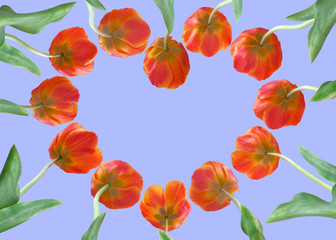Fototapeta na wymiar Tulips in the form of heart on sky background