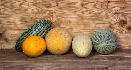 Fototapeta na wymiar different varieties of melons