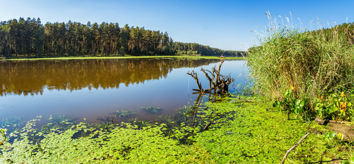 летний пейзаж на берегу уральской реки Иртыш, Россия © 7ynp100