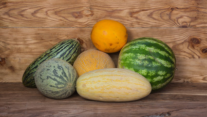 different varieties of melons