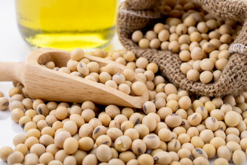 Delicious soybeans spilling from a burlap sack with a scoop, accompanied by a bottle of oil, symbolizing healthy and natural foodstuff and operation.