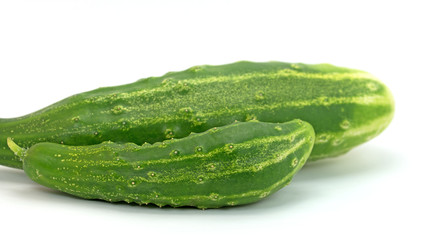 Gurken, Cucumis sativus, Cucumbers