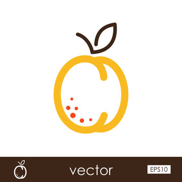 Apricot outline icon. Fruit