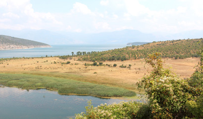 lake Prespa in Albania in summer