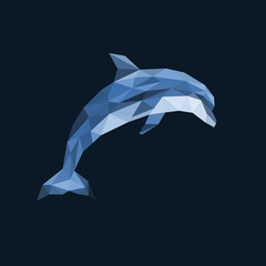 polygonal dolphin jumping out on blue background
