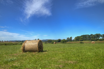 mit dem Fahrrad unterwegs am Selliner See