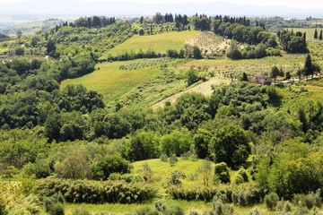 Fototapeta na wymiar Typical green landscape in Tuscany, Italy