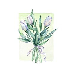 Bouquet. Hand drawn watercolor design element. White flowers 4