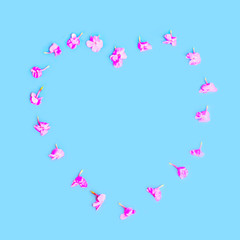 Heart shape of petals flowers over colorful blue background