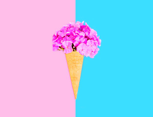 Ice cream cone flowers over pink blue colorful background top vi