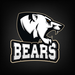 White Bear. Sports team mascot.