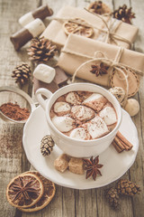 Fototapeta na wymiar Hot chocolate with marshmallows
