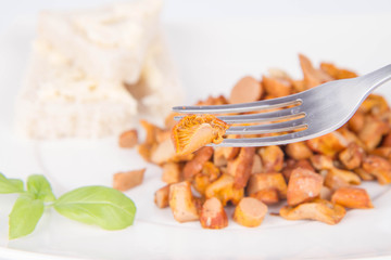Sauteed chanterelle with garlic and some white bread eaten with a fork