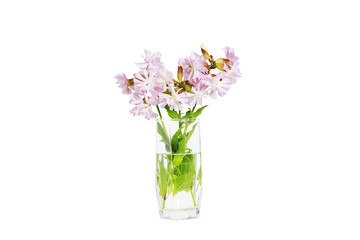small bouquet in a glass on white background