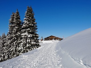 Fototapeta premium Snow covered firs and timber chalet