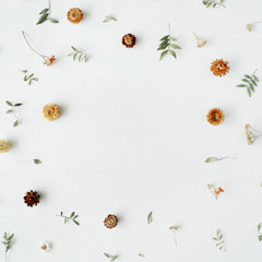 frame with yellow dry flowers, branches, leaves and petals isolated on white background. flat lay, overhead view