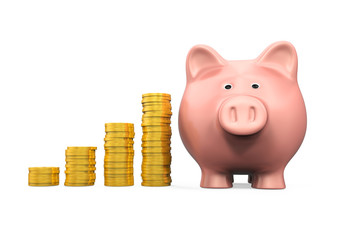 Piggy Bank and Money Coin