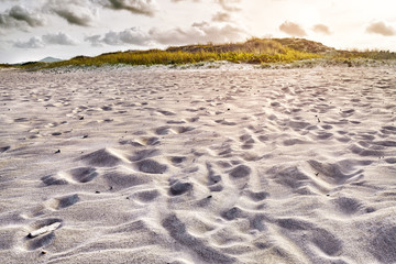 Beautiful scenic beach view at sunset. Beach panorama. Beach lan