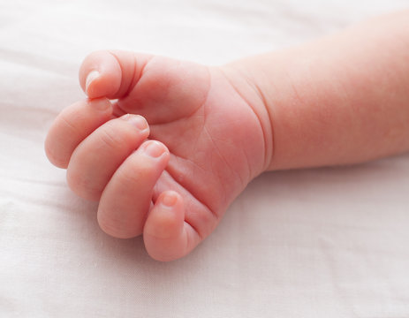 Closeup of new born baby's hand. 