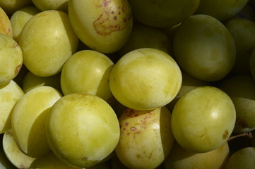 Large amount of white plums forming almost uniform background
