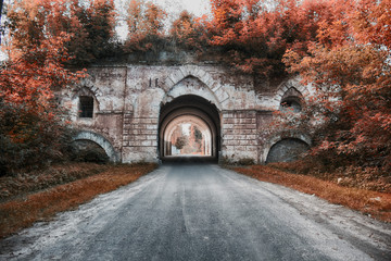 old arch gate