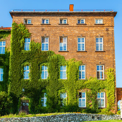 View of red brick building covered with ivy in Wawel Castle. Krakow. Poland.