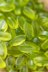 Heap of gummy candy with lime taste