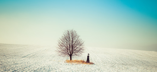 Winter tree in a snowy field and cross