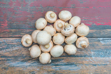 Pile of fresh mushrooms