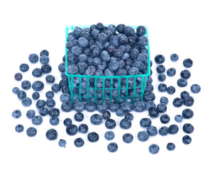 Fresh organic blueberry in green plastic basket