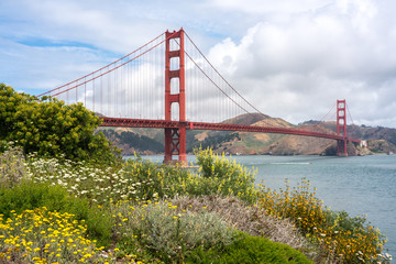 Golden Gate Bridge, Fowers