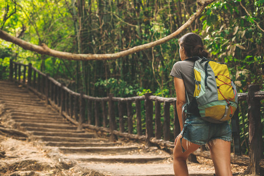 Young tourist with backpack walking in tropical forest