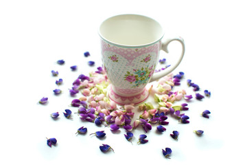 beautiful cup and petals on a white background