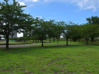 公園
