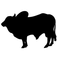 Silhouette of a zebu  cow, vector bull or buffalo  - obrazy, fototapety, plakaty
