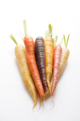 organic and fresh carrots in different colors, isolated on white, close up, vertical