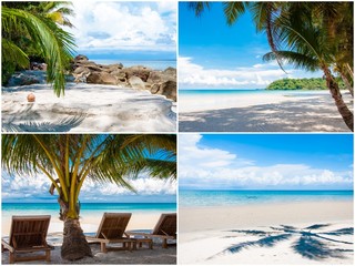 Photo collage of tropical beach with palm trees