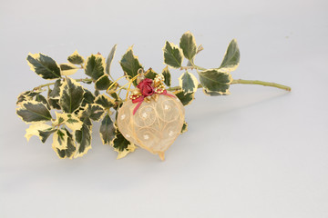 Golden see through Christmas ornament with natural fresh holly on a light background