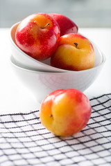 sweet, organic red and yellow plums in a white bowl, isolated on white background by the window with chequered table cloth, close up, vertical