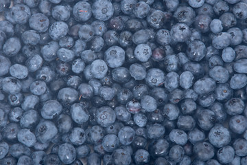 Fototapeta na wymiar Fresh juicy organic blueberry on white background