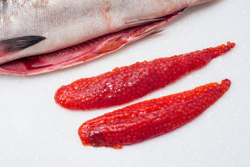 Salmon fishs on white background