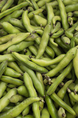 fresh and organic fava or broad beans at farmers market. food as background, vertical.